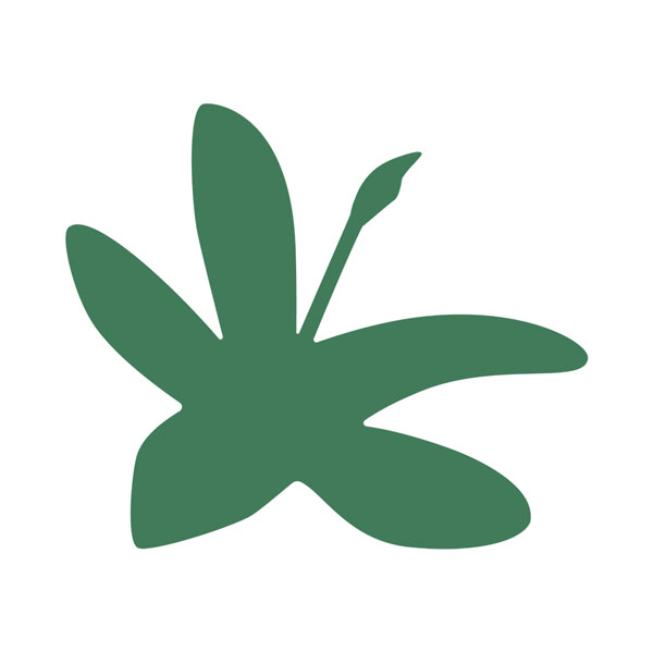 aquasquilla logo